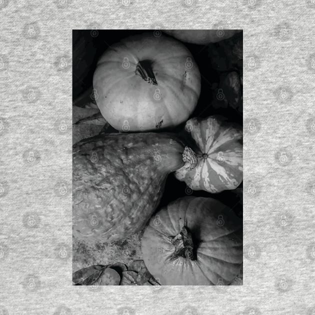 Gourds by PSCSCo